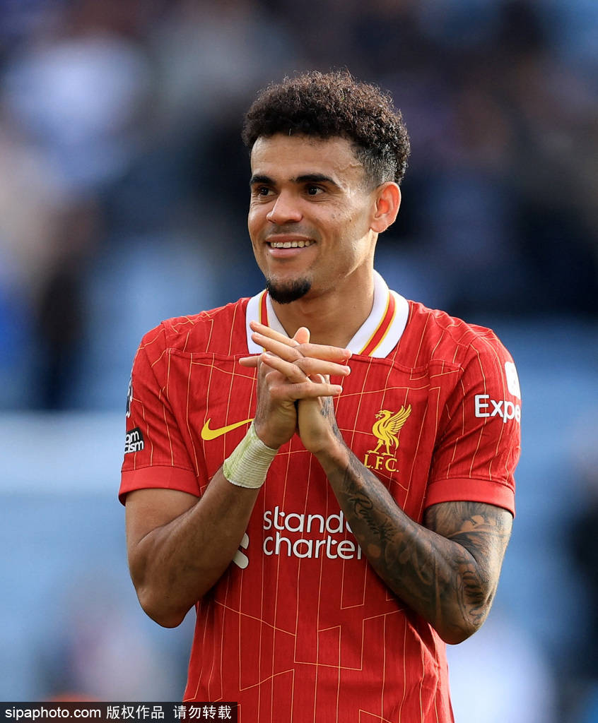 交媒体的热 交媒体的热