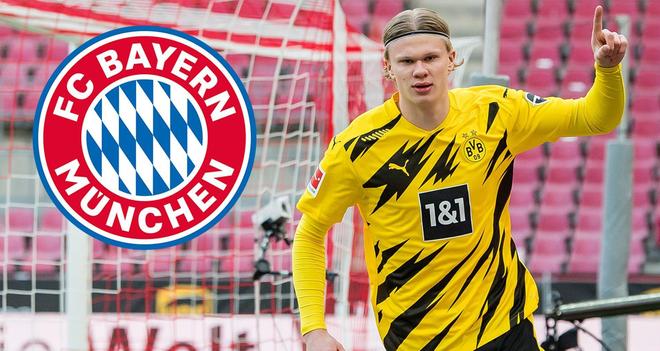 往往被放大 往往被放大